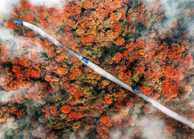 峨眉山景區直通車上線，酒店直達雷洞坪車站