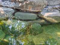 江門小眾溫泉度假天花板台山瀾朵