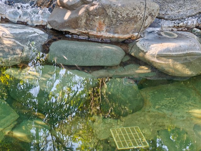 江門小眾溫泉度假天花板台山瀾朵