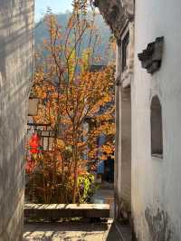 杭州周邊寶藏！紅葉指南村，秋日大片天花板