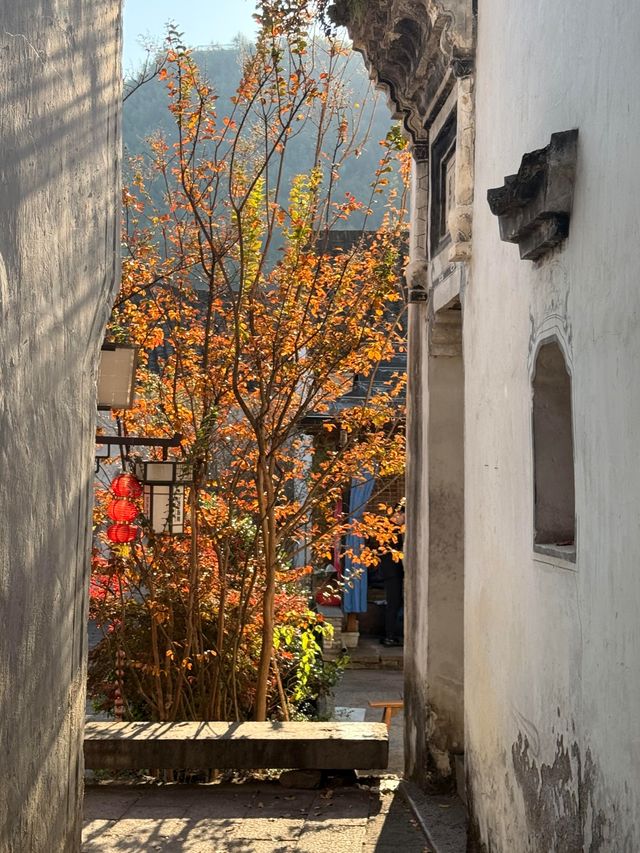杭州周邊寶藏！紅葉指南村，秋日大片天花板