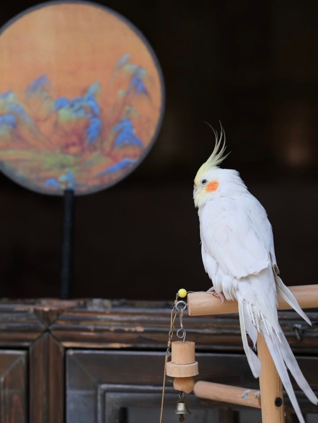 這才是安徽涇縣桃花潭的正確打開方式！