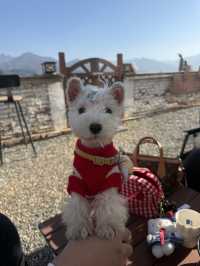 在街頭西安citywalk