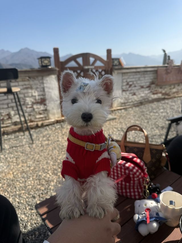 在街頭西安citywalk 在街頭西安citywalk