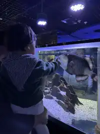 天津海洋極地公園｜必看四大海洋秀