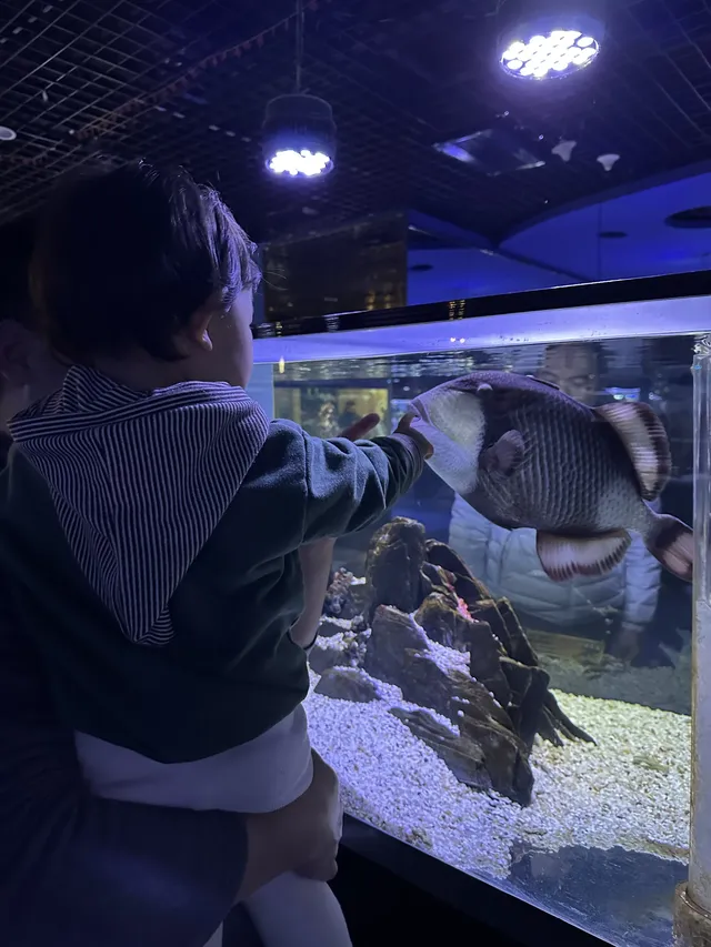 天津海洋極地公園｜必看四大海洋秀