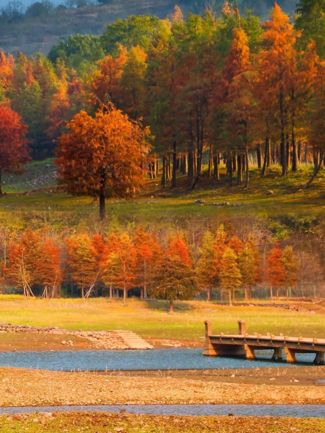 3天2晚餘姚親子遊天花板！保姆級攻略請查收~