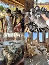 朋友圈問爆了!不是肯亞!是宜春