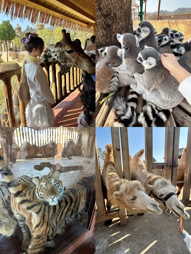 朋友圈問爆了!不是肯亞!是宜春 朋友圈問爆了!不是肯亞!是宜春