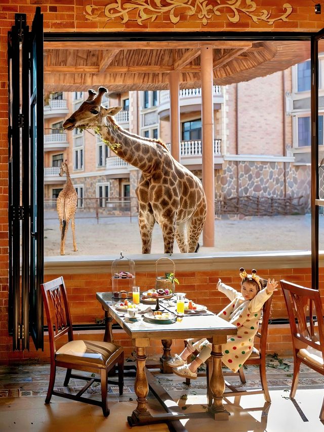 本地人親測,這裡就是泉州遛娃天花板 本地人親測,這裡就是泉州遛娃天花板