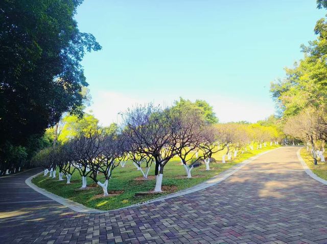 雲端綠道網紅橋小眾親子徒步路線快打卡 雲端綠道網紅橋小眾親子徒步路線快打卡