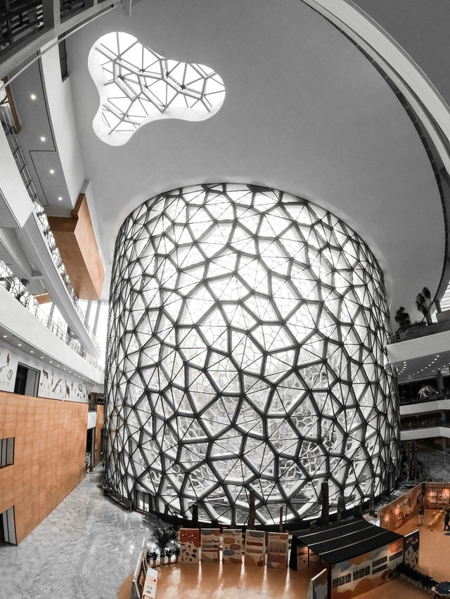 Самый красивый Шанхайский музей природы 🦖🇨🇳