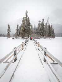 暢玩班夫幽鶴賈斯珀！6人純玩團住雪景木屋