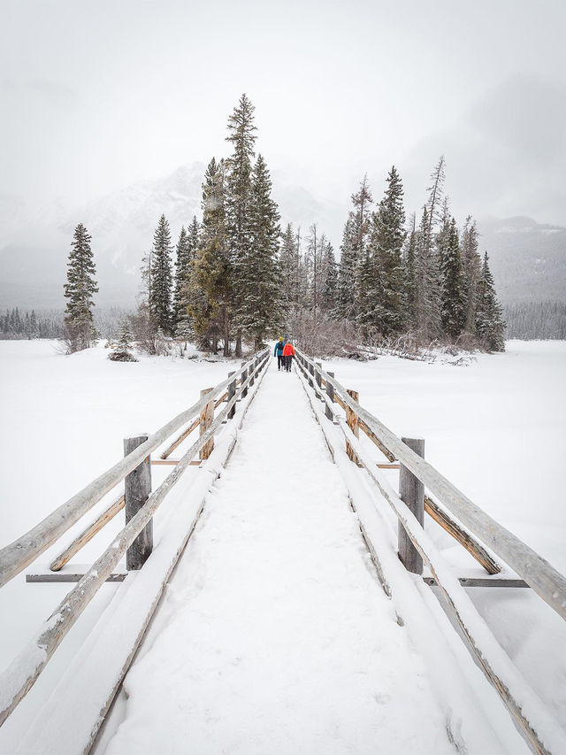 暢玩班夫幽鶴賈斯珀！6人純玩團住雪景木屋