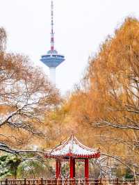 北方限定浪漫!瀋陽的雪景封神了