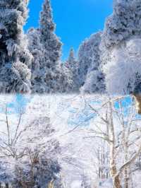 廣東人冬日狂歡!6大超近霧淞賞雪地攻略