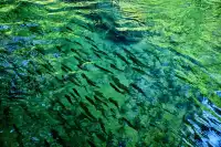 🫧荔波·小七孔地球上的綠寶石🟢