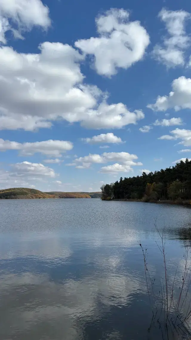 秋天的淨月潭美到失語