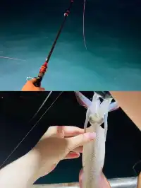 富國島爽玩攻略 白天浮潛晚上夜釣