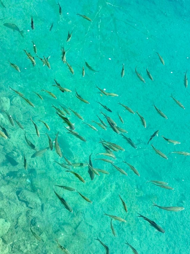 荔波小七孔3小時快速玩!! 我們提前一晚入住的施柏閣酒店~ 酒店VIP入口出發 步行至大七孔古橋 荔波小七孔3小時快速玩!! 我們提前一晚入住的施柏閣酒店~ 酒店VIP入口出發 步行至大七孔古橋