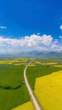 標題:【3000元!青甘線10天深度遊攻略 真香!一次直擊心靈的震撼之旅,省錢又精彩!---