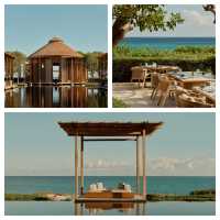 在安缦尋覓冬日暖陽