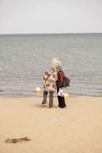 在博斯騰湖餵海鷗 踩細沙 離海最遠的海