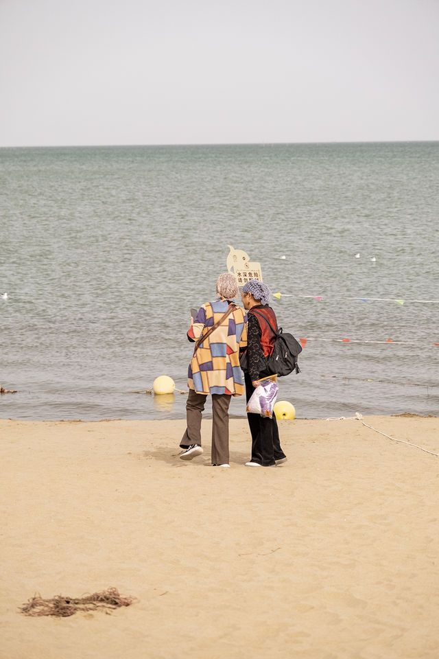 在博斯騰湖餵海鷗 踩細沙 離海最遠的海 在博斯騰湖餵海鷗 踩細沙 離海最遠的海