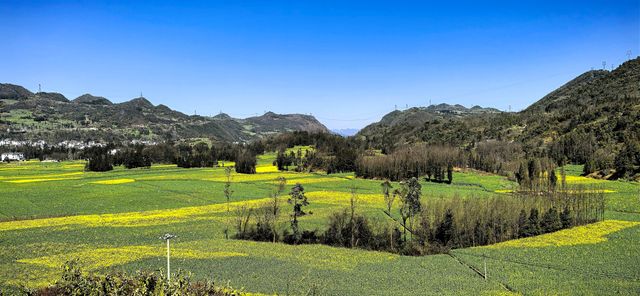 峰叢花田醉我心