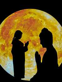 南京市中心沉浸式體驗敦煌大展啦!