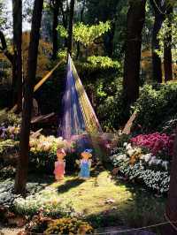 12月共青楓葉紅了銀杏黃了(附出片打卡點)