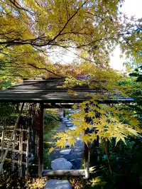 名古屋紅葉—白鳥庭園