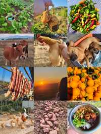 西北環線躺平首選希岸智享酒店太舒適啦