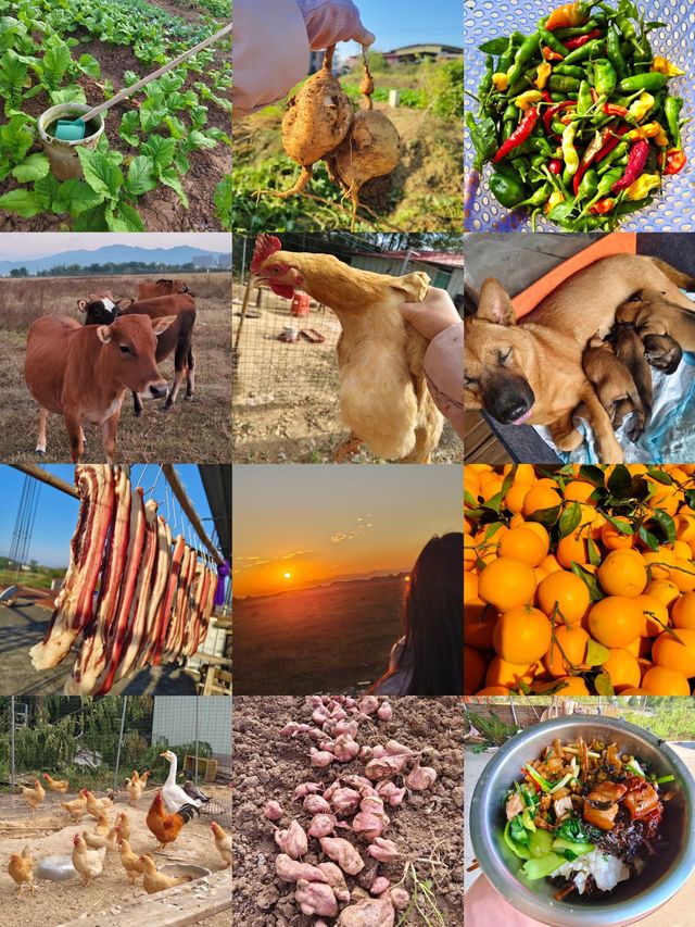 西北環線躺平首選希岸智享酒店太舒適啦