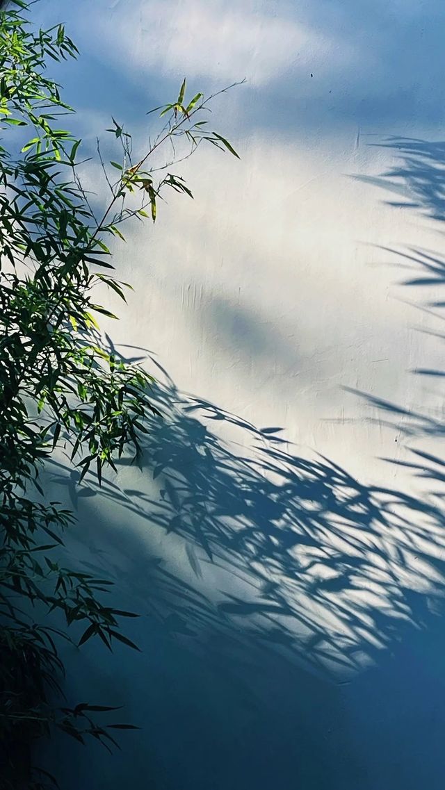 泉州西湖公園|秋日限定版桃花島太絕美了 泉州西湖公園|秋日限定版桃花島太絕美了