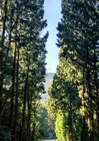 南澳島極限一日遊全攻略！暴走7大景點不踩雷