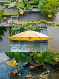 “我本無意入江南,奈何江南入我心”