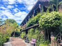 從景邁到西雙版納的姊妹遊