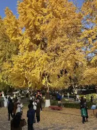 德陽｜石刻公園
