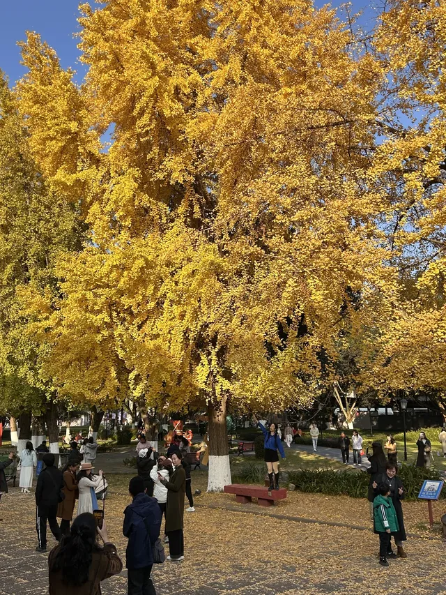 德陽｜石刻公園