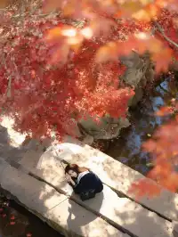 紅楓JK拍照丨不用長焦!超廣角才有生命力