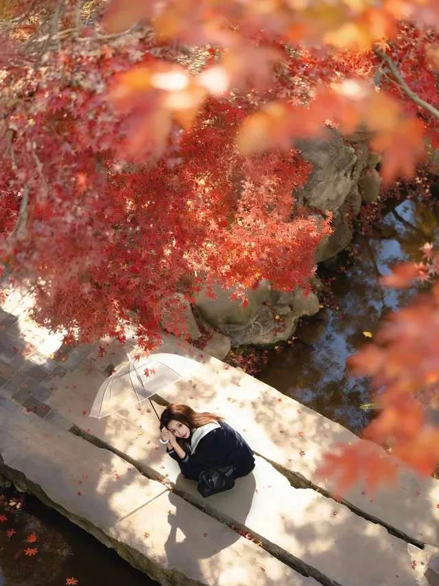 紅楓JK拍照丨不用長焦!超廣角才有生命力 紅楓JK拍照丨不用長焦!超廣角才有生命力