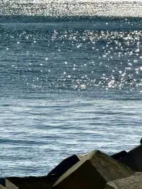 大連｜週末詳細兩日遊攻略來啦～冬天絕美！