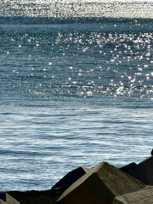 大連｜週末詳細兩日遊攻略來啦～冬天絕美！