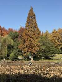 這裡不賣小商品｜「出售」最地道的義烏生活切片