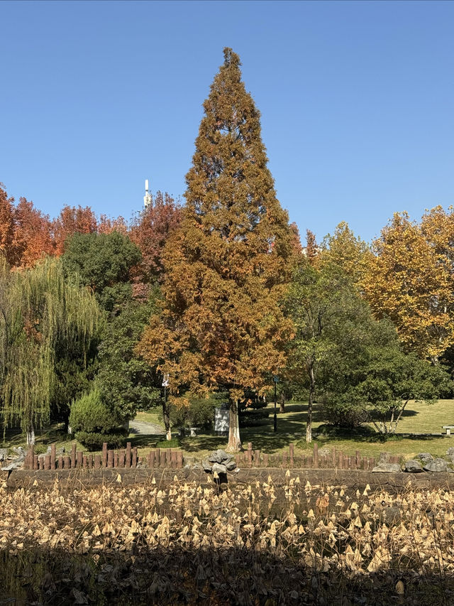 這裡不賣小商品｜「出售」最地道的義烏生活切片
