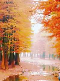 你真的沒騙我,石井水庫真的美到失語