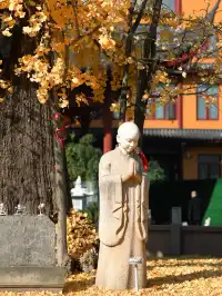 都給我衝，上海賞秋怎能少了這顆千年古銀杏