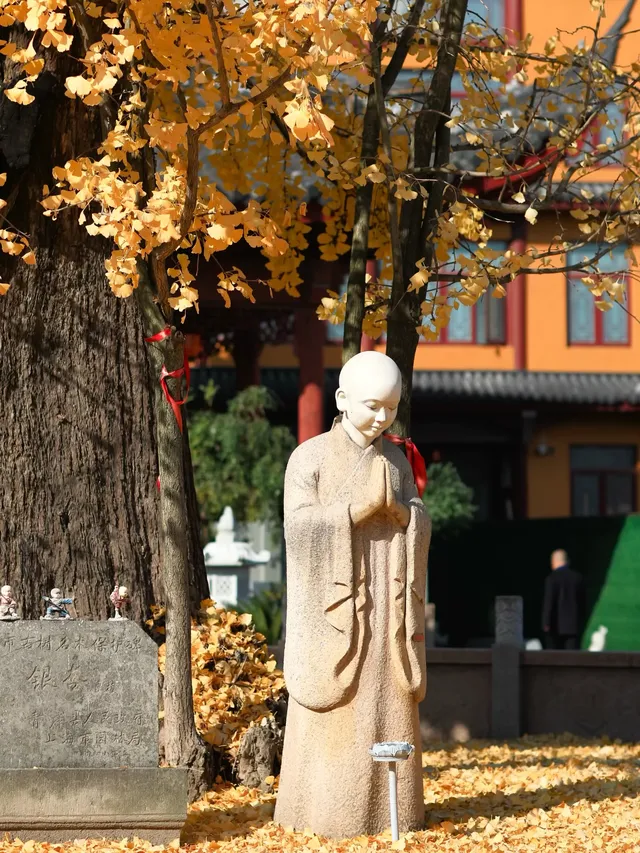 都給我衝，上海賞秋怎能少了這顆千年古銀杏