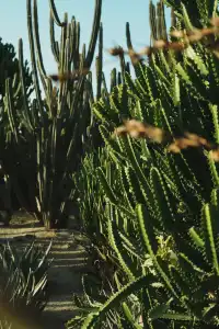 廈門植物園｜又是能量滿滿的一天！